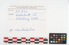 Foto von Keramikgefäß (NHMW-PRAE-085734)